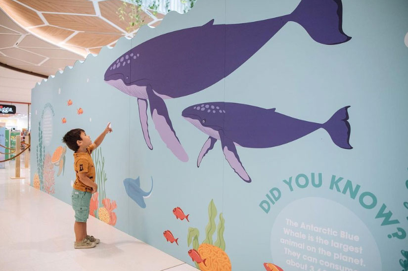 A child pointing up at a large whale printed on a Re-Board display.